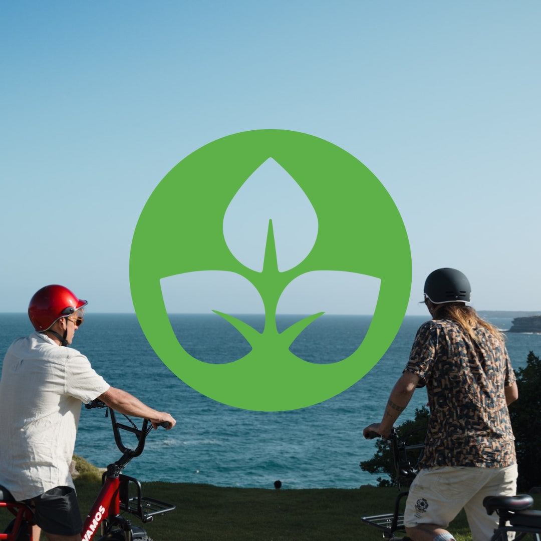 ACF logo image.