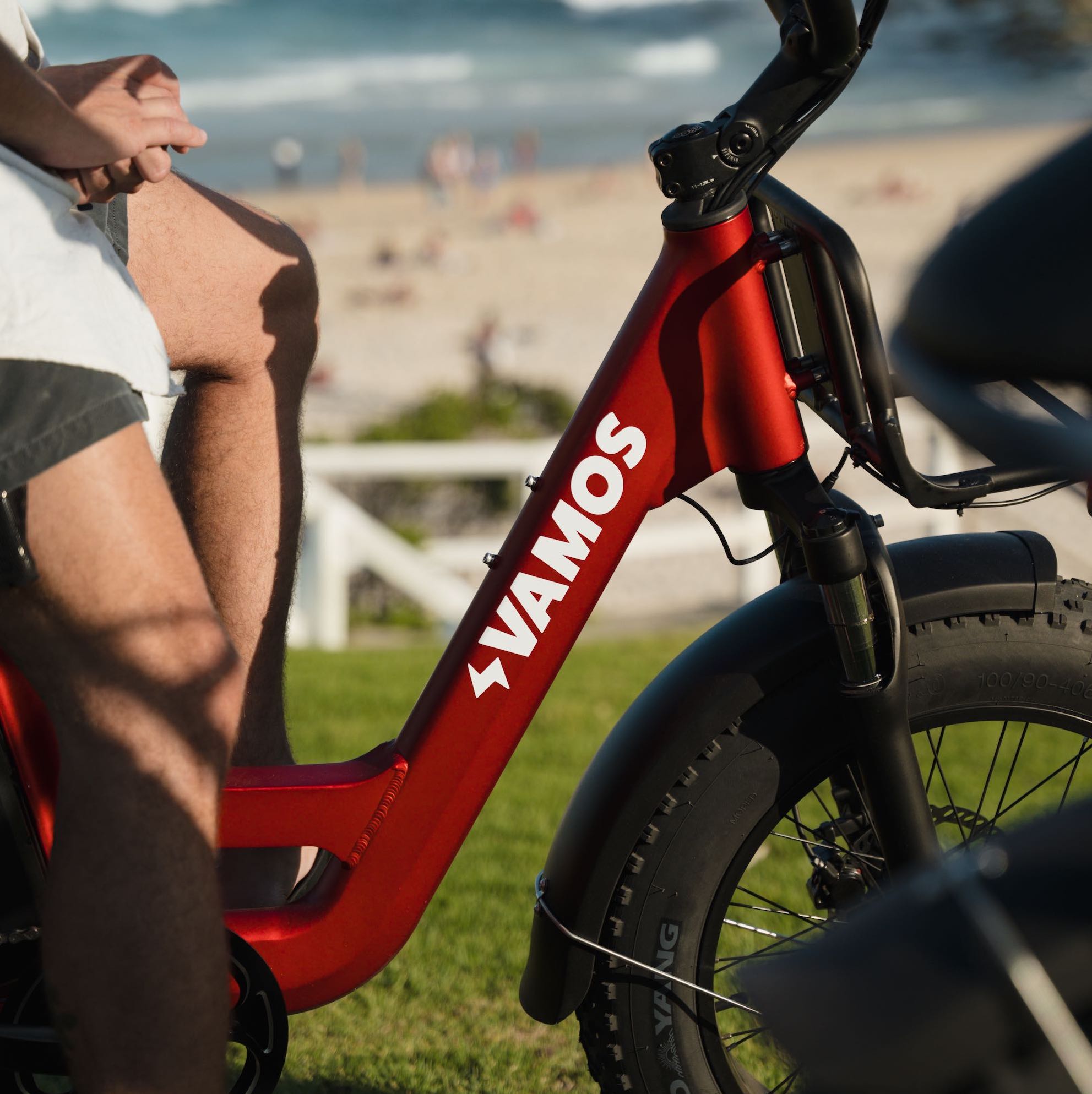 Amigo Vamos Bikes image.