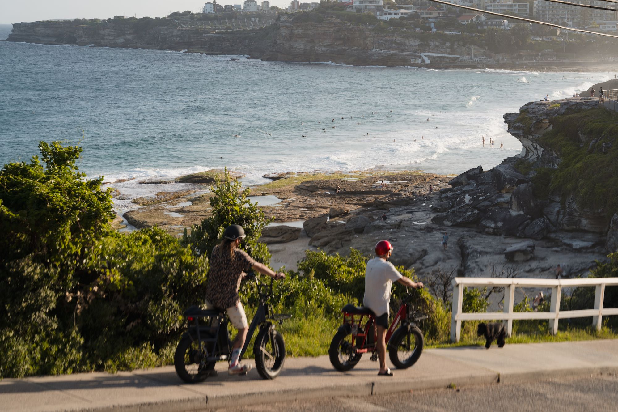 Amigo Vamos Bikes image.