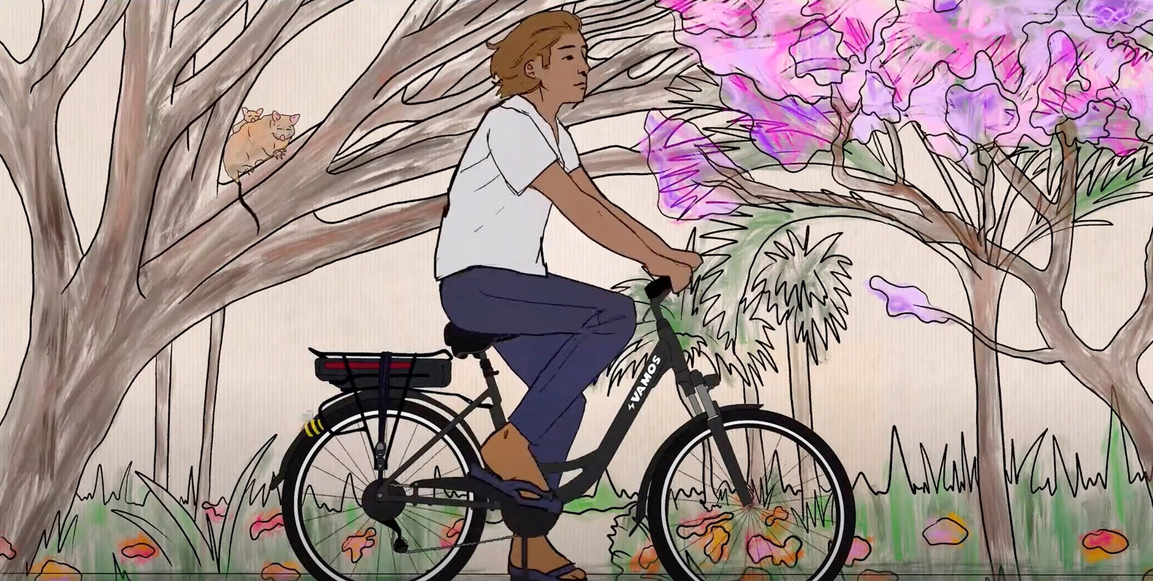 Sustainability video image.