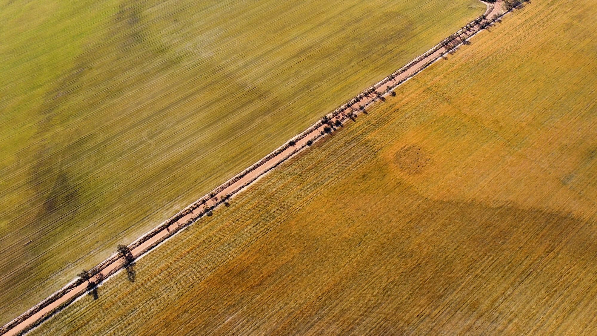Vamos Bikes Perth to Bondi image.