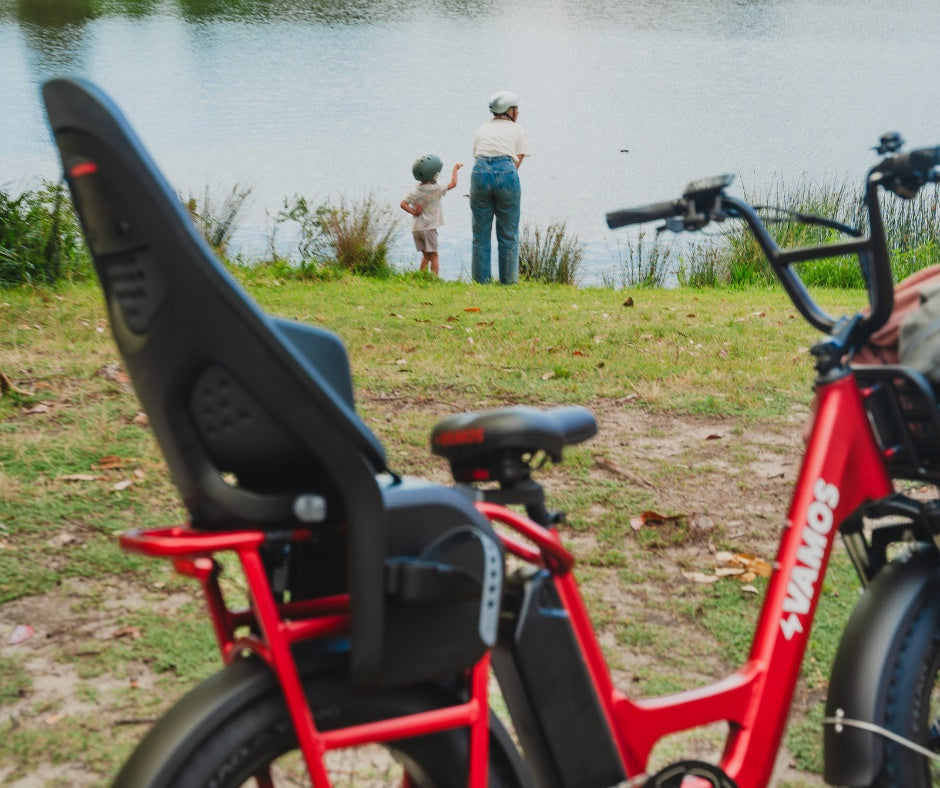 Thule Yepp 2 Maxi - Child Bike Seat