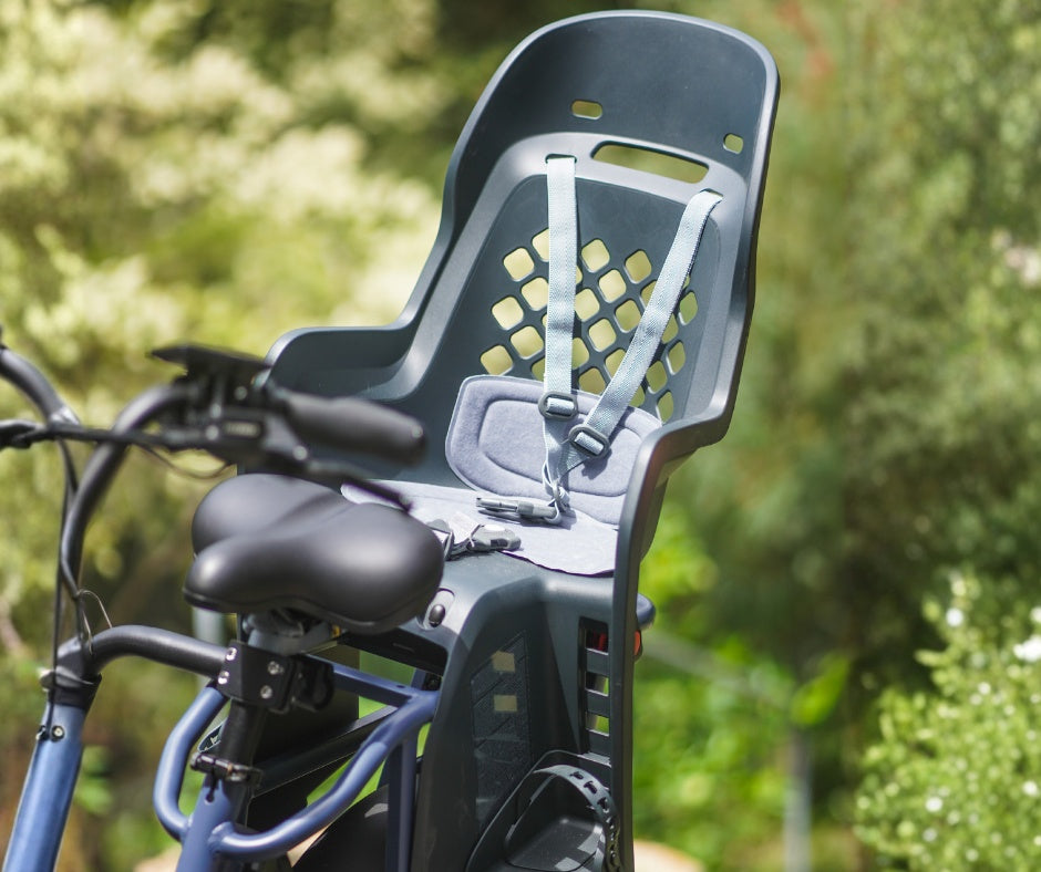 Thule Yepp 2 Maxi - Child Bike Seat