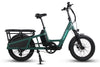 Green electric bike with a cargo rack 