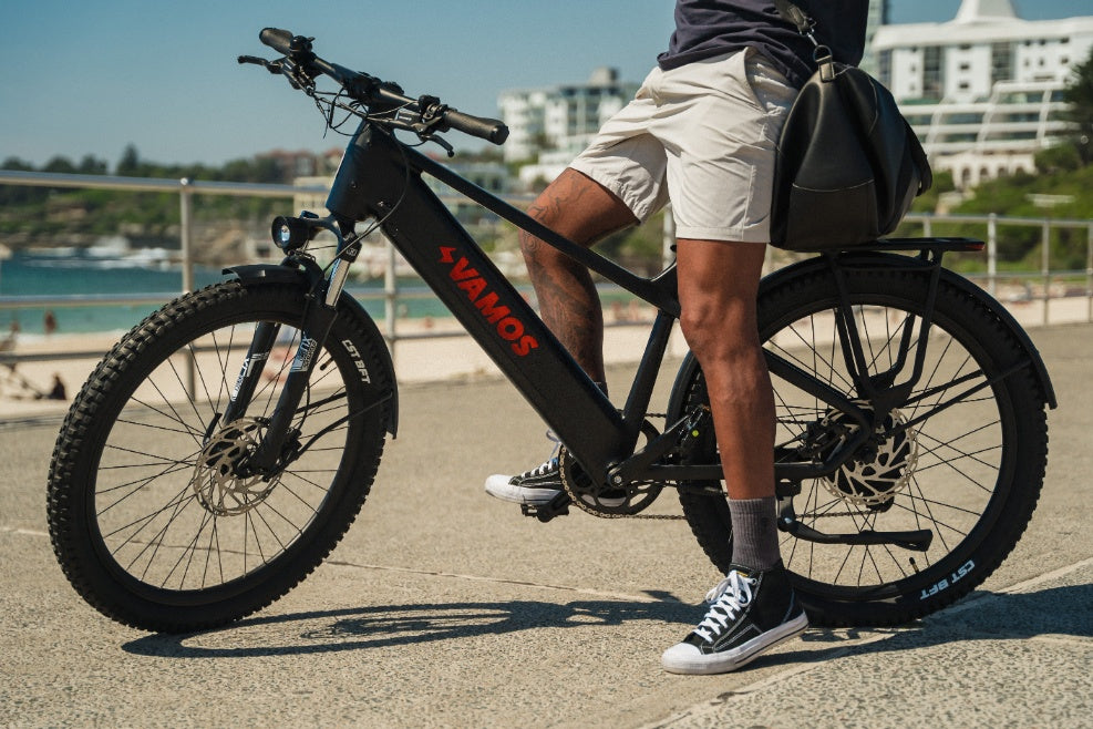 El Diablo 2025 - High Performance E-Bike