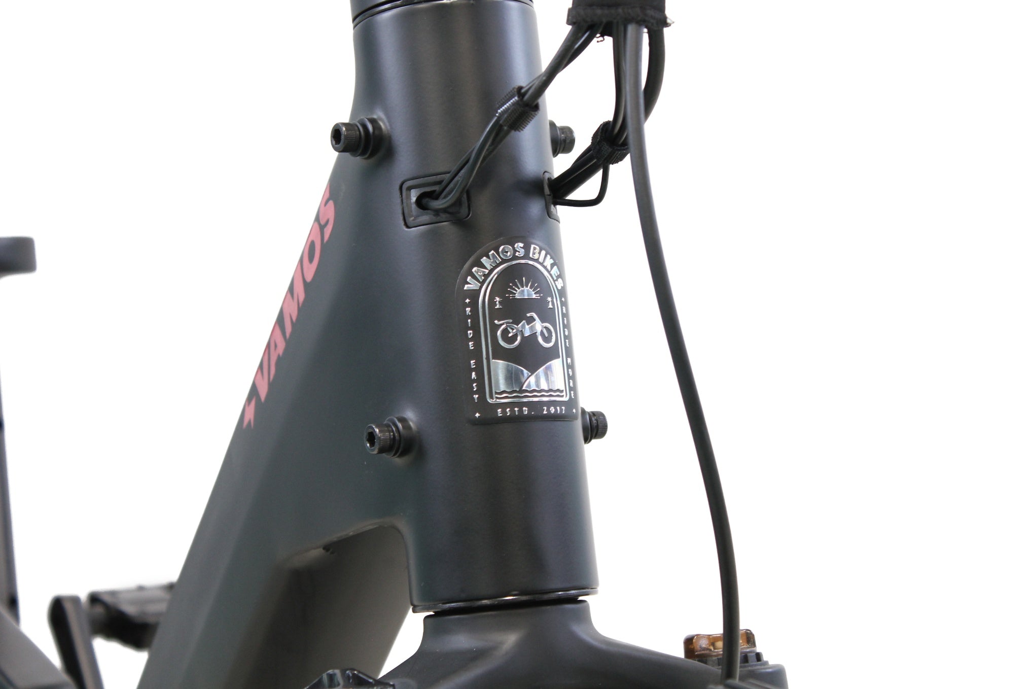 Black foldable electric bike