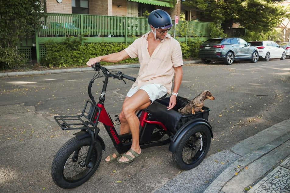 Papa Grande Pro 2026 - 3 Wheel E-Trike