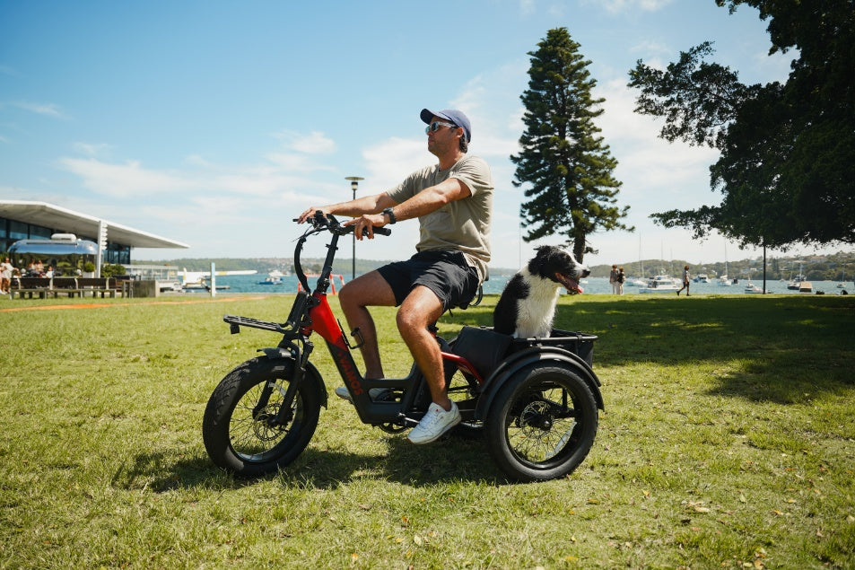Papa Grande Pro 2026 - 3 Wheel E-Trike