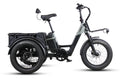 Electric tricycle with a cargo box 