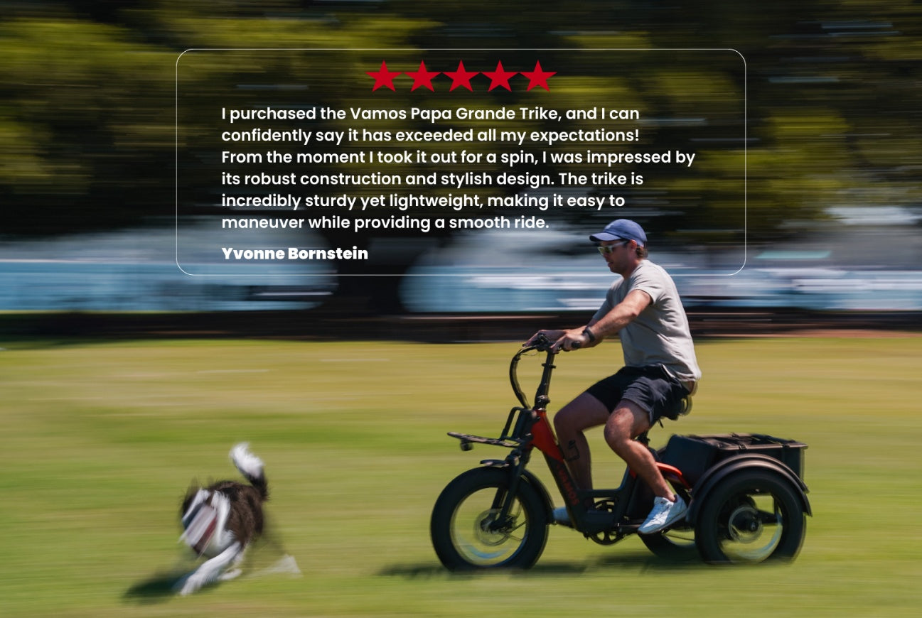 Papa Grande Pro 2026 - 3 Wheel E-Trike Bike