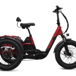 Papa Grande Pro 2024 - 3 Wheel E-Trike