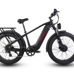El Hefe 2024 - Cruiser E-Bike